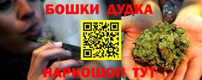 крисы Новозыбков