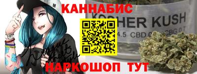 крисы Новозыбков