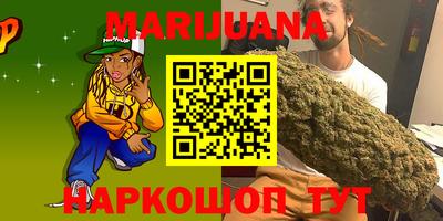 крисы Новозыбков